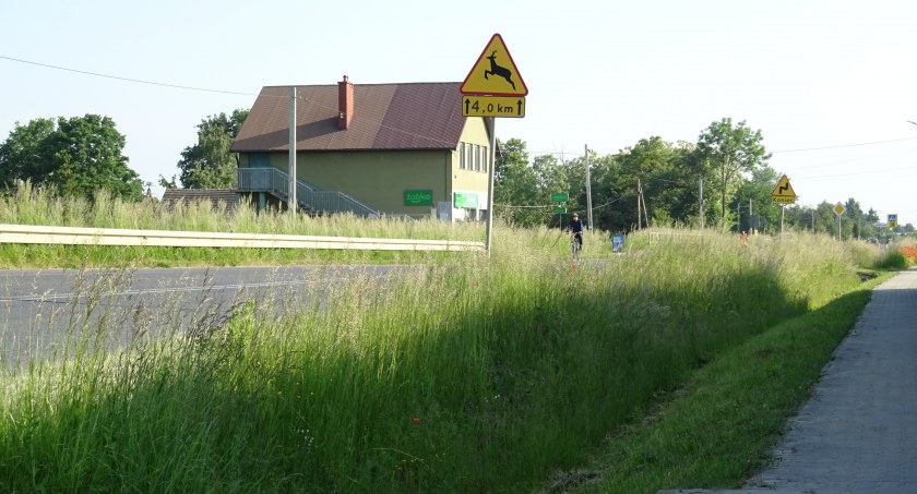 Ktoś, kto się dobrze przyjrzy, zauważy, że za znakiem ostrzegającym o zakrętach, jest samochód.