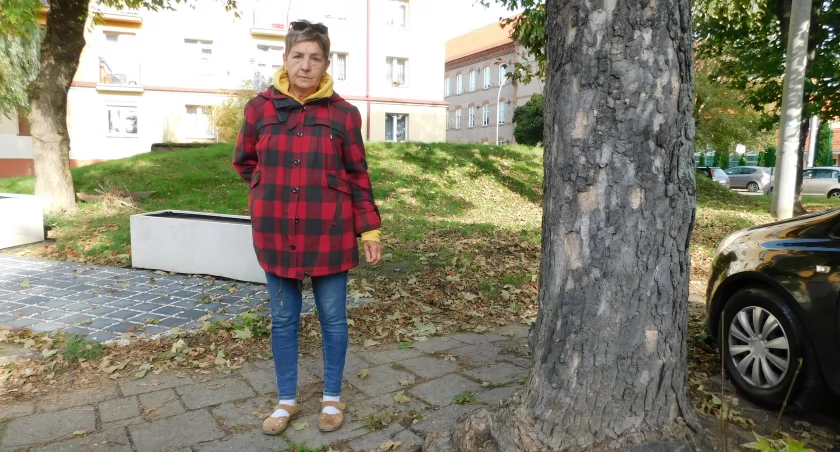 - Tego drzewa nie trzeba wycinać. Kostkę można ułożyć wokół pnia - uważa Stanisława Paczkowska.