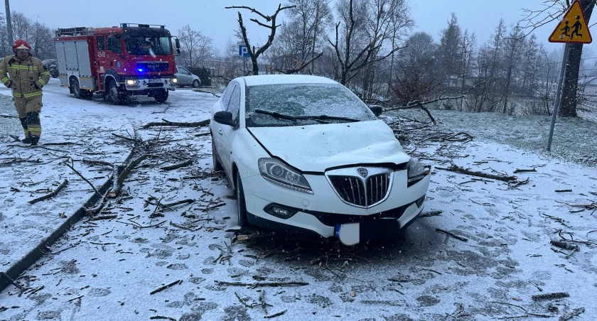 Fot. OSP Brzostek