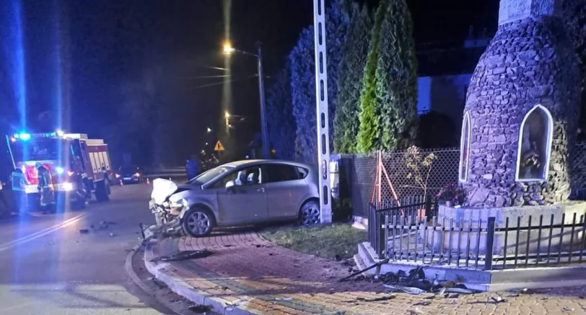 Mężczyzna nie zatrzymał się przed znakiem Stop. Zdjęcie: OSP Czarna.