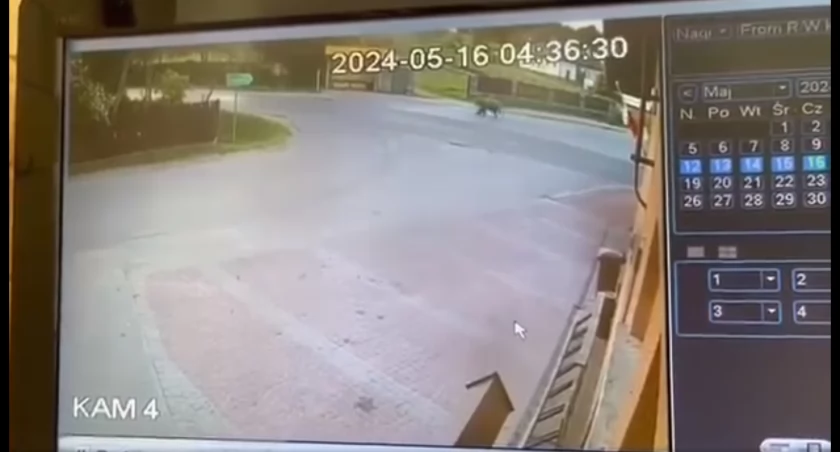 Kadr z monitoringu. FB/Ochotnicza Straż Pożarna w Borowej