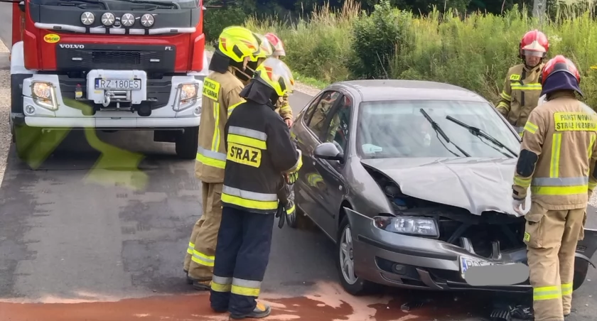 Na miejscu pracowali strażacy z Dębicy i z OSP Pilzno. Fot. OSP Pilzno