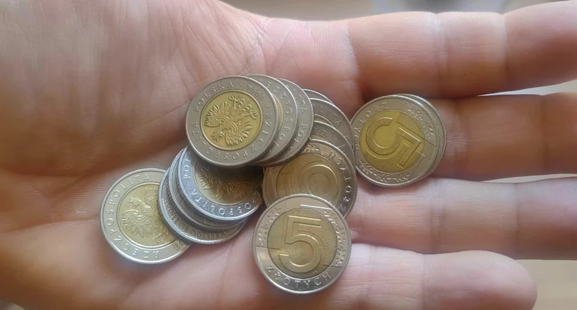 Trzech mieszkańców powiatu okradało automaty płatnicze w myjniach samochodowych. 