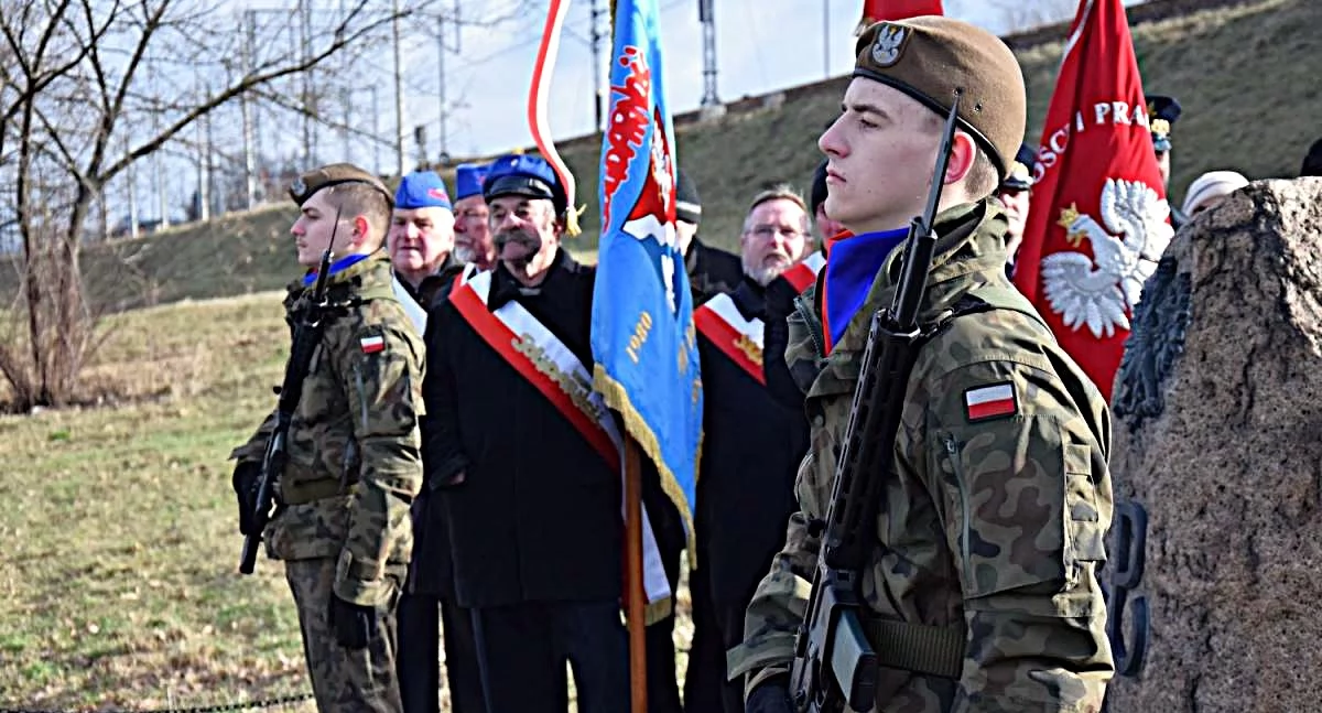 fot. Grzegorz Król