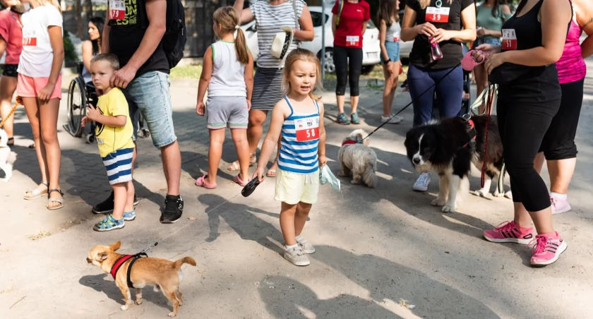 Fot. arch. Fundacja Psi Azylek 