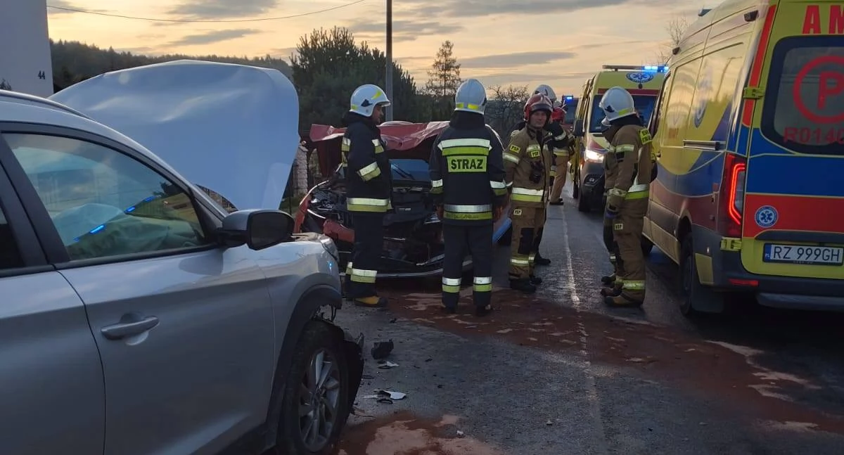 Zdjęcie: Komenda Powiatowa Państwowej Straży Pożarnej w Dębicy.