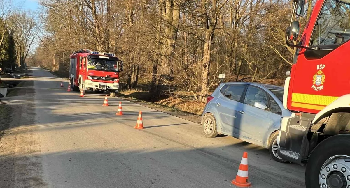 Zdjęcie: OSP Strzegocice.