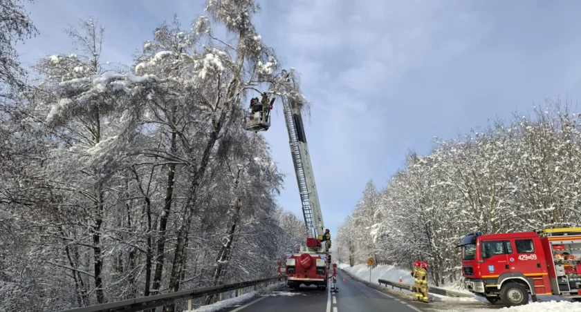 fot. Ochotnicza Straż Pożarna Brzostek