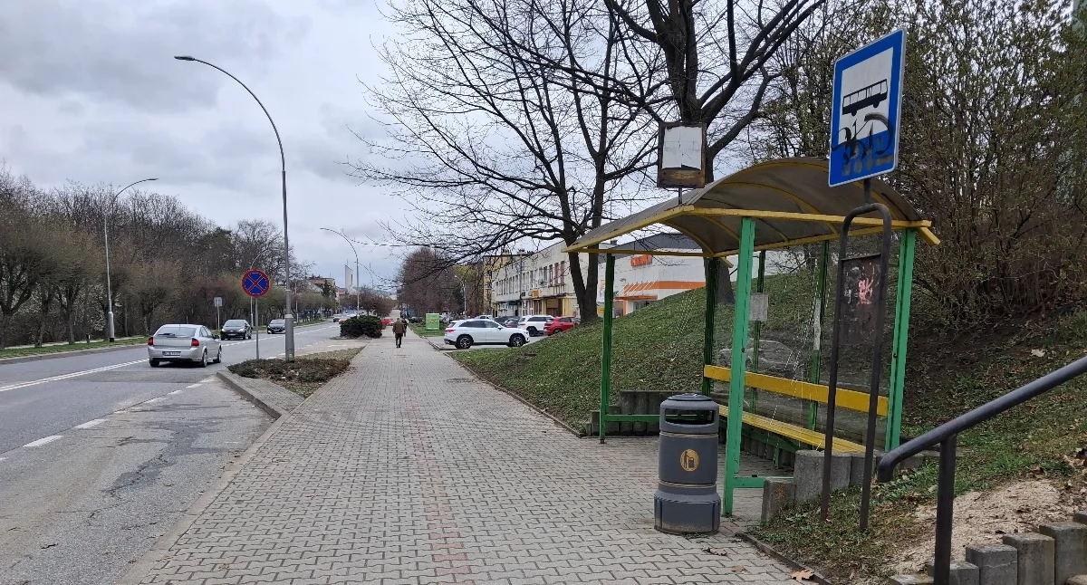 Do ataków doszło na przystanku autobusowym przy ul. Krakowskiej w Dębicy.