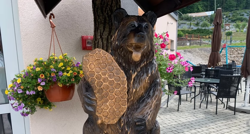Miś z wielkim plastrem miosdu czeka na swoje imię.