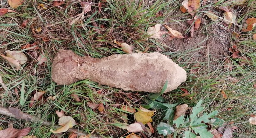Granat znaleziony został w Głowaczowej. Fot. debica24.eu