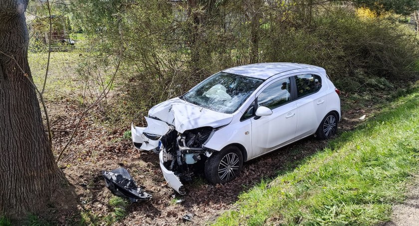 Samochód zjechał z drogi i uderzył w drzewo. Zdjęcie: OSP Brzostek.