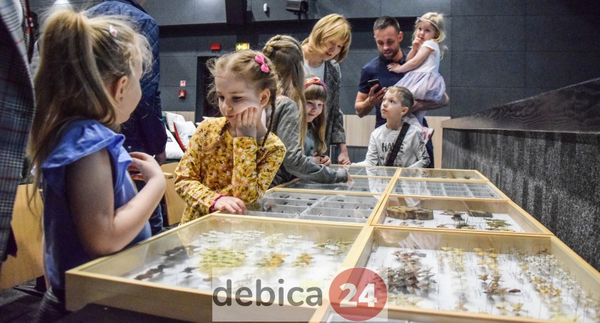 Gość kolejnego Poranka z tatą przywiózł ze sobą gabloty, a w nich owady. Zdjęcie: debica24.eu