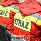 Fotka nr 1 z 32