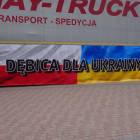 zdjęcie nr 12