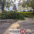 zdjęcie nr 35