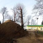 zdjęcie nr 13