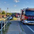 Fotka nr 1 z 4