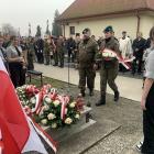 zdjęcie nr 19