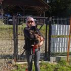 zdjęcie nr 7