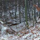 zdjęcie nr 27