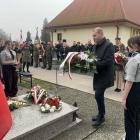 zdjęcie nr 16