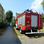Fotka nr 4 z 5