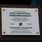 zdjęcie nr 30