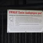 zdjęcie nr 37