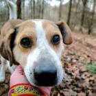 Fotka nr 1 z 2