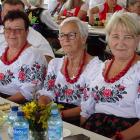 zdjęcie nr 16