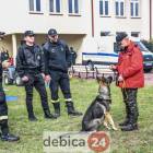 zdjęcie nr 20
