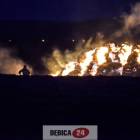 Fotka nr 3 z 12
