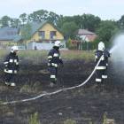 zdjęcie nr 25