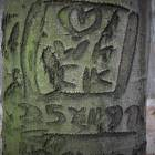 zdjęcie nr 19