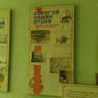 zdjęcie nr 40