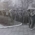 zdjęcie nr 46