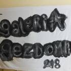 zdjęcie nr 22