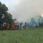 zdjęcie nr 20