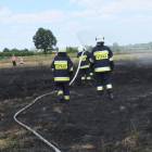 zdjęcie nr 27