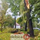 zdjęcie nr 21