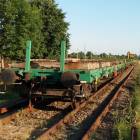 Fotka nr 5 z 6