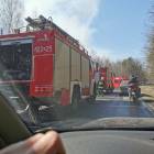 Fotka nr 5 z 8