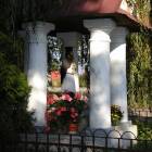 zdjęcie nr 30