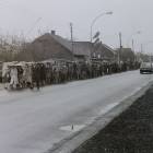 zdjęcie nr 44