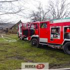 Fotka nr 5 z 7