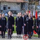 zdjęcie nr 13