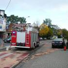zdjęcie nr 9