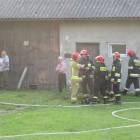 Fotka nr 5 z 12