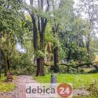 zdjęcie nr 19